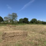 Photo of a hay meadow with bales of hay.