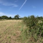 Photo of a hay meadow with bales of hay. A hedge has been planted along the boundary.