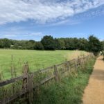 Photo looking down gravel path on a sunny day. A fence separates the path from a bright green field.