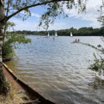 Photo taken looking out across the lake. A birch tree in the foreground. Canoes, sail boats and paddle boards are out in force on the water.