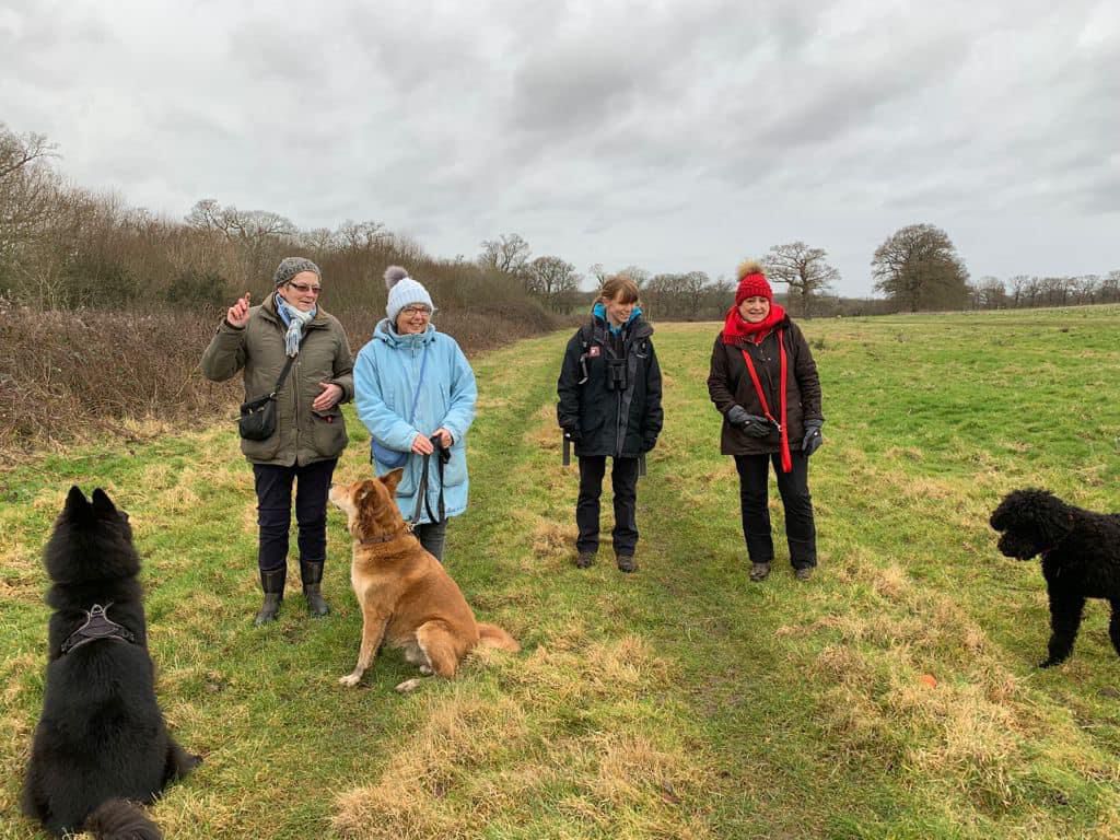 Photo of 3 ladies and warden Jo walking 3 dogs in a grassy area during winter 