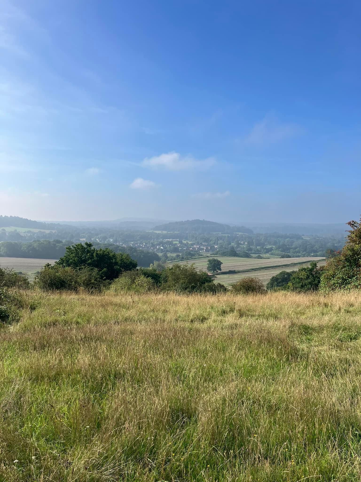 Photo of a grassland landscape with rolling fields behind and bright blue sky