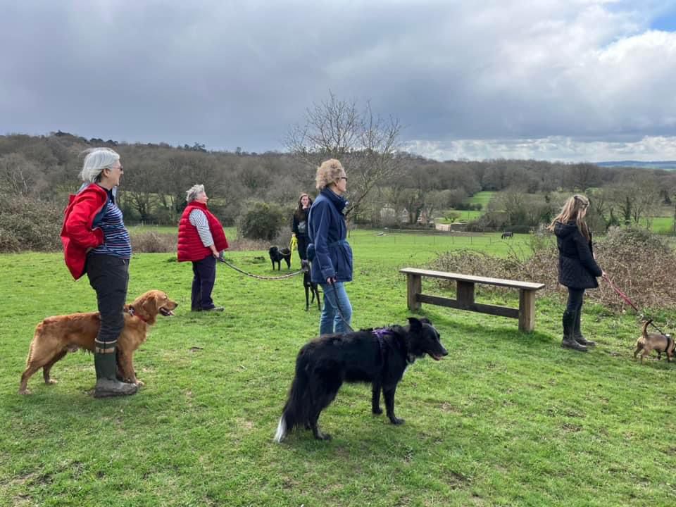 Photo of 4 women with dogs admiring a view at the top of a grassy hill