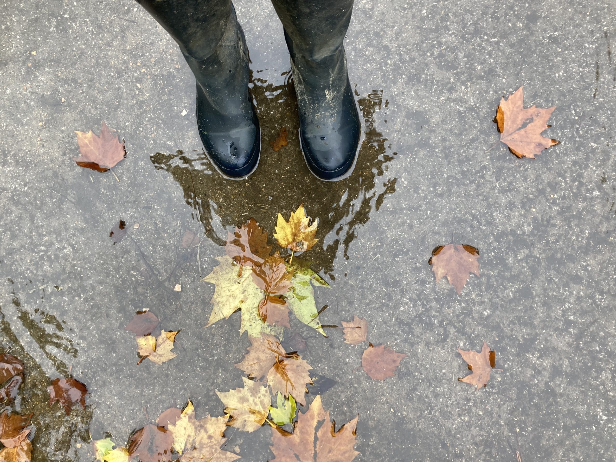 Photo of pair of welly boots in a puddle containing brown and yellow autumn leaves