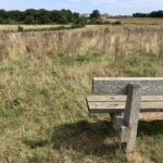 Photo taken looking out from a bench positioned to view the meadows.