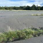 Photo of an expanse of tarmac. Here and there it is cracked and being reclaimed by nature.