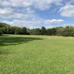 Photo of a large flat, grass field surrounded by trees. You can just make out a few people walking in the distance.