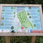 Sign giving information about Benswood and the variety of trees present, including Ash, Silver Birch, Field Maple, Whitebeam and Wild Cherry.