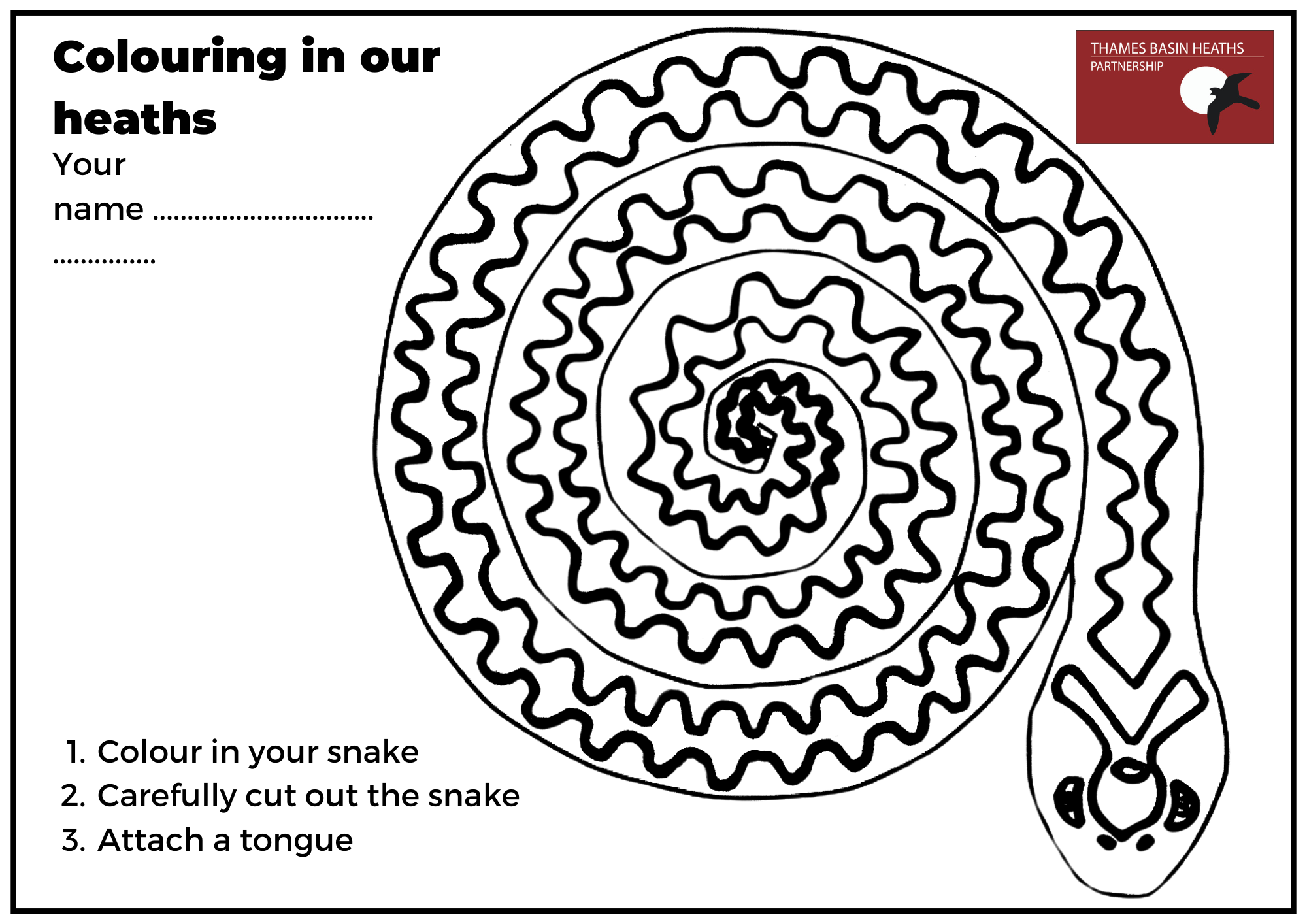 Click to download a coiled snake craft activity!