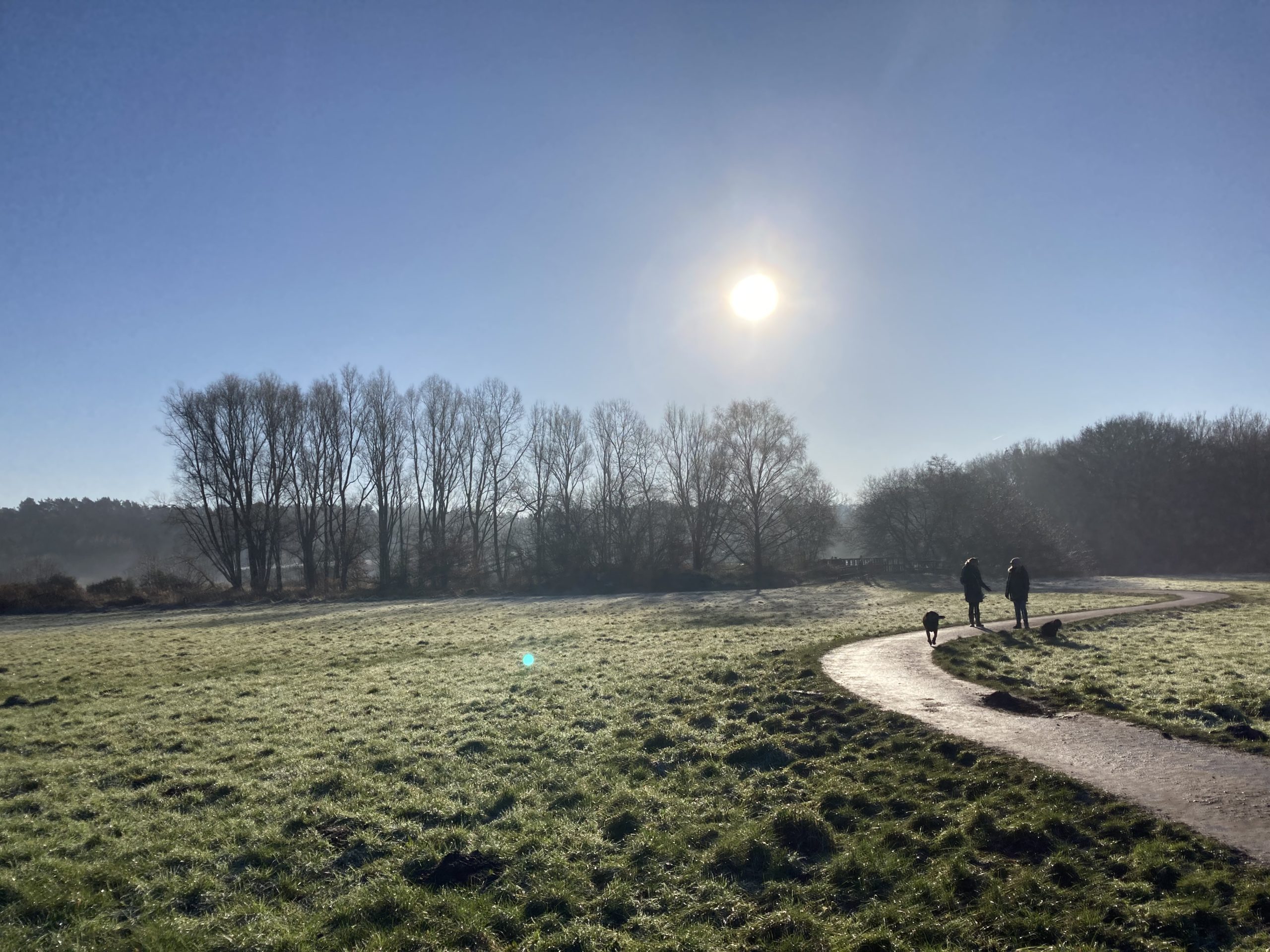 Photo of wintry landscape. Two people and a dog walking along a winding path through an open grass area, with a stand of bare trees behind