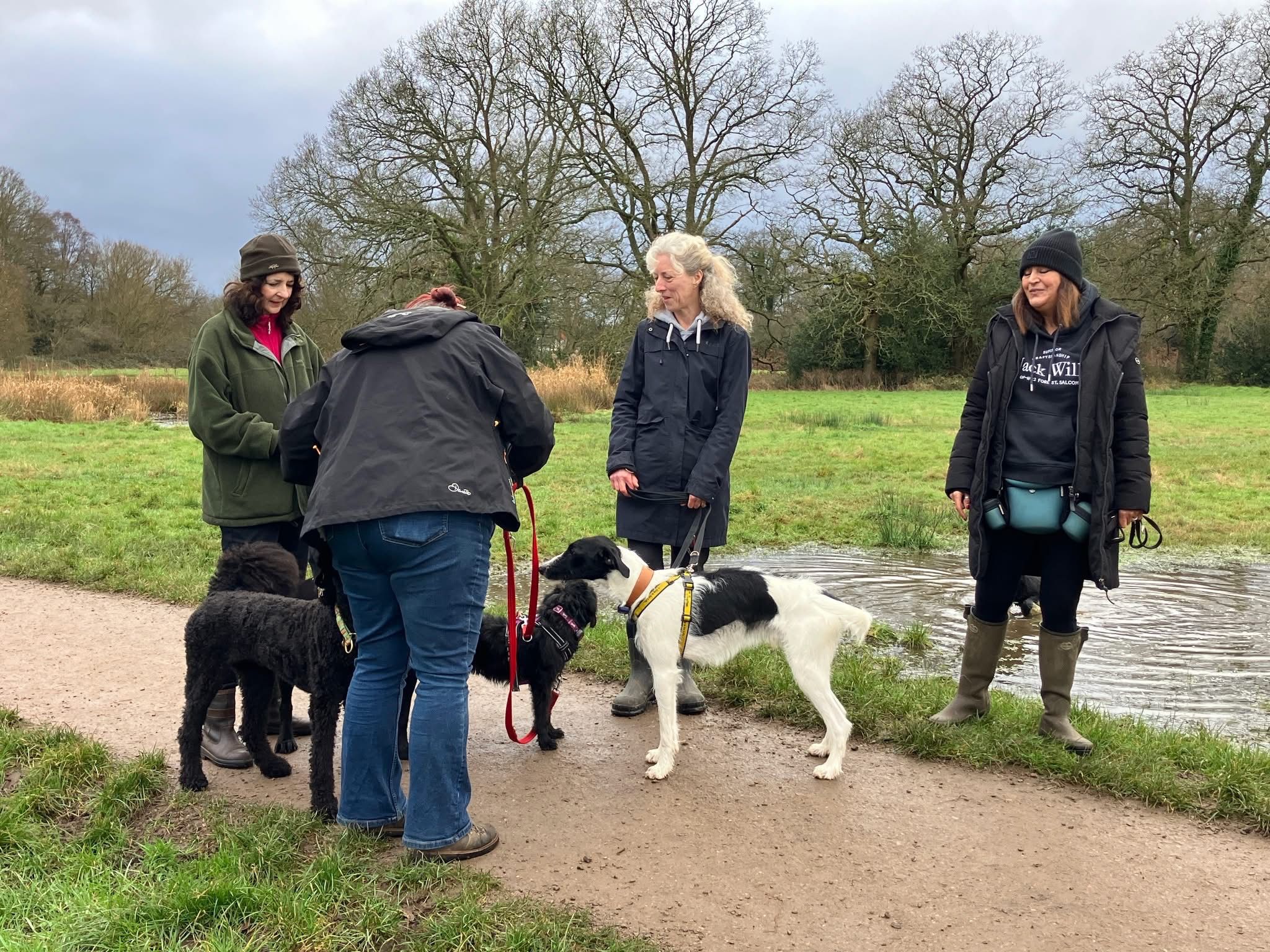 Photograph of a group of women dressed in winter clothing, stopped on a path with their dogs, chatting, next to a grass area with a pond