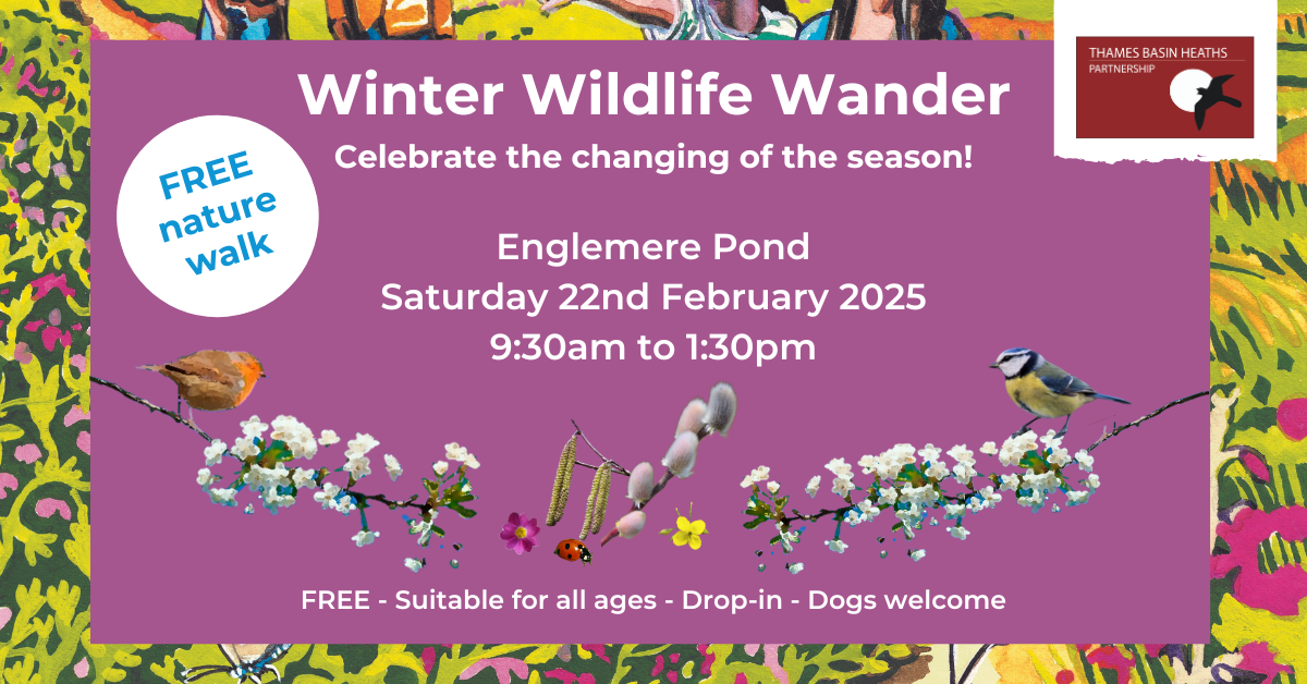 Pretty pink poster to advertise a winter wildlife walk featuring spring blossom and buds