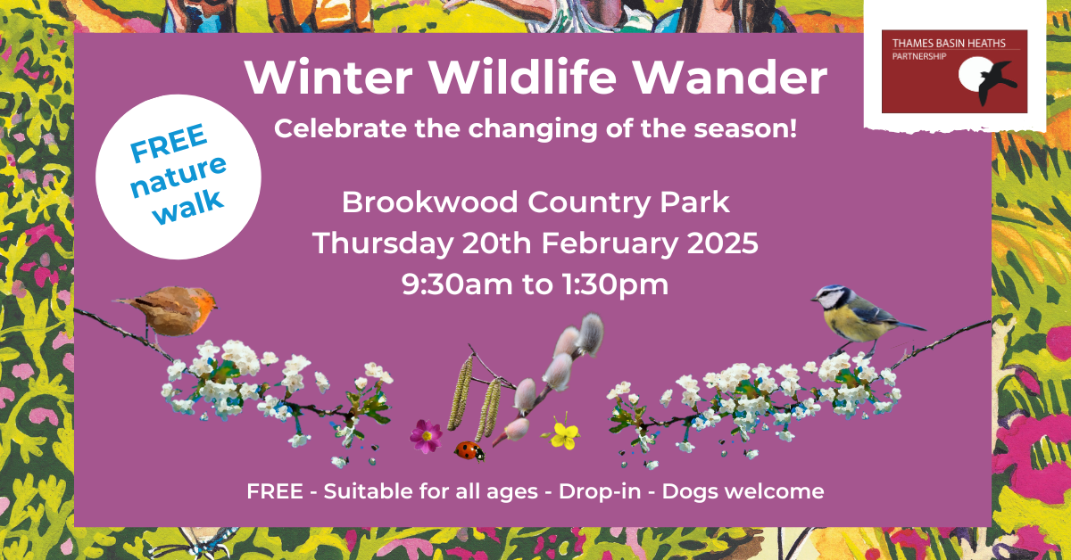 Pretty pink poster to advertise a winter wildlife walk featuring spring blossom and buds