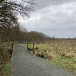 Photo of a grassy area in winter with gravelly path leading through it