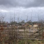 Photo of housing development works with large machinery through a hedge in winter