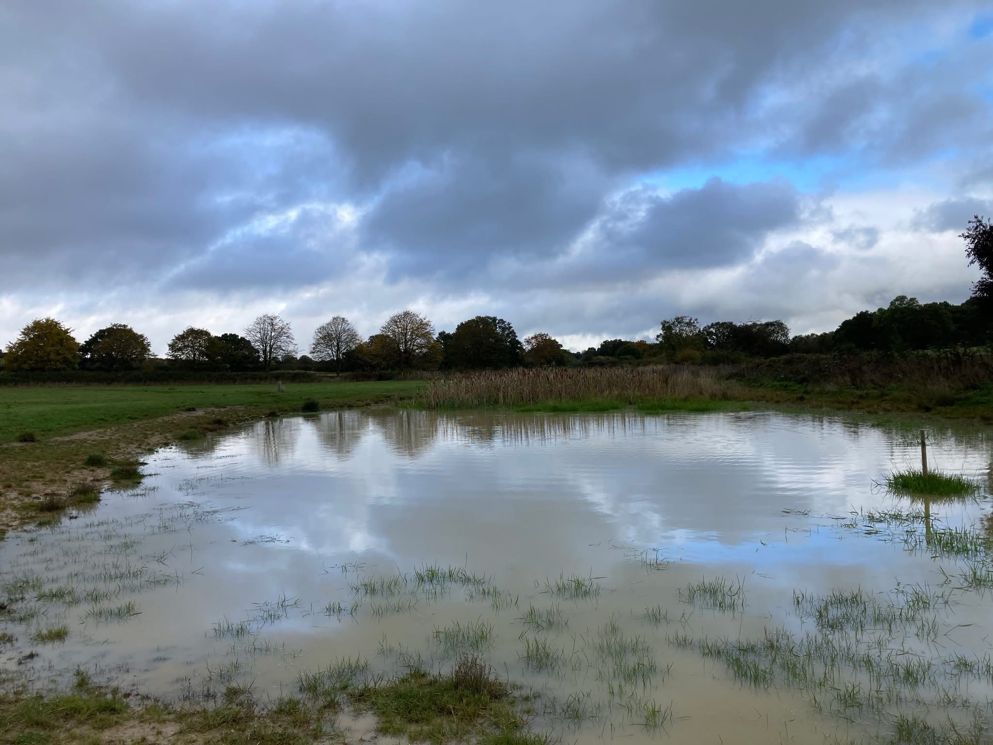 Photo of a large pond taken on a cloudy winter day