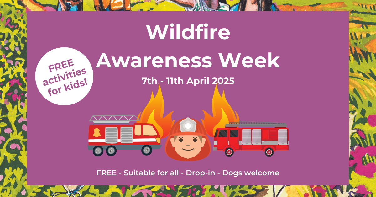 Pretty pink poster advertising Wildfire Awareness Week