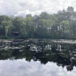 A lake reflecting the tree and sky line above it.