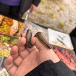 A slow worm wrapped round fingers.