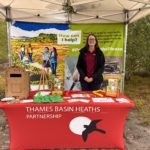 A Thames Basin Heaths Partnership team member standing with the display advertising the importance of heathland protection.