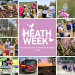 Photo collage advertising Heath Week 2025 with a variety of photos of activities on the heaths and wildlife images