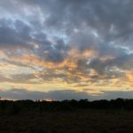 Photo of a cloudy sunset over the heath