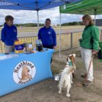 Three people stand around a Heathland Hounds pop-up with a dog on a lead.