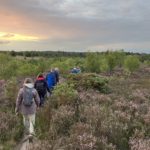 A group of walkers following the path through heathland at Chobham Common in search of Nightjars.