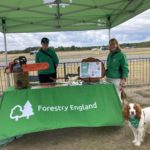 Photo of Forestry England staff standing at a green branded table at an event. A brown and white spaniel dog is in the photo