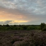 A sunset over Chobham Common Special Protected Area heathland.