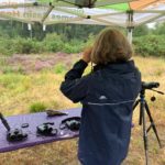Photo of a woman standing under a gazebo, in front of a table containing binoculars, using binoculars to view the open heath