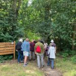 A group of walkers following the path into Chobham Place Woods
