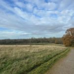 Photo of a surfaced path passing through an open grassland area with autumn trees
