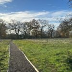 Photo of a surfaced path passing through an open grassland area containing newly planted young trees